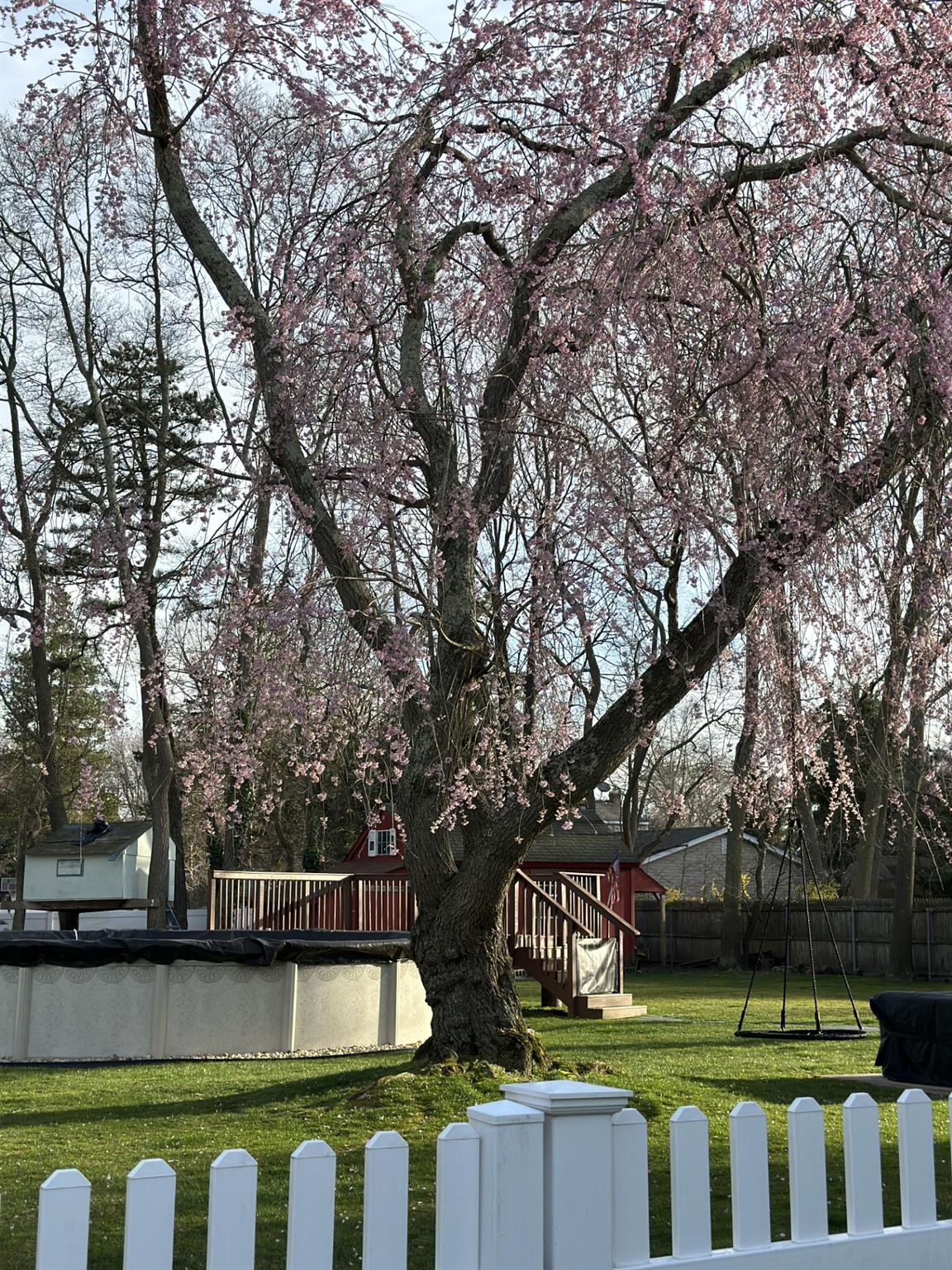 108 Juniper Street, Islip, New York image 32