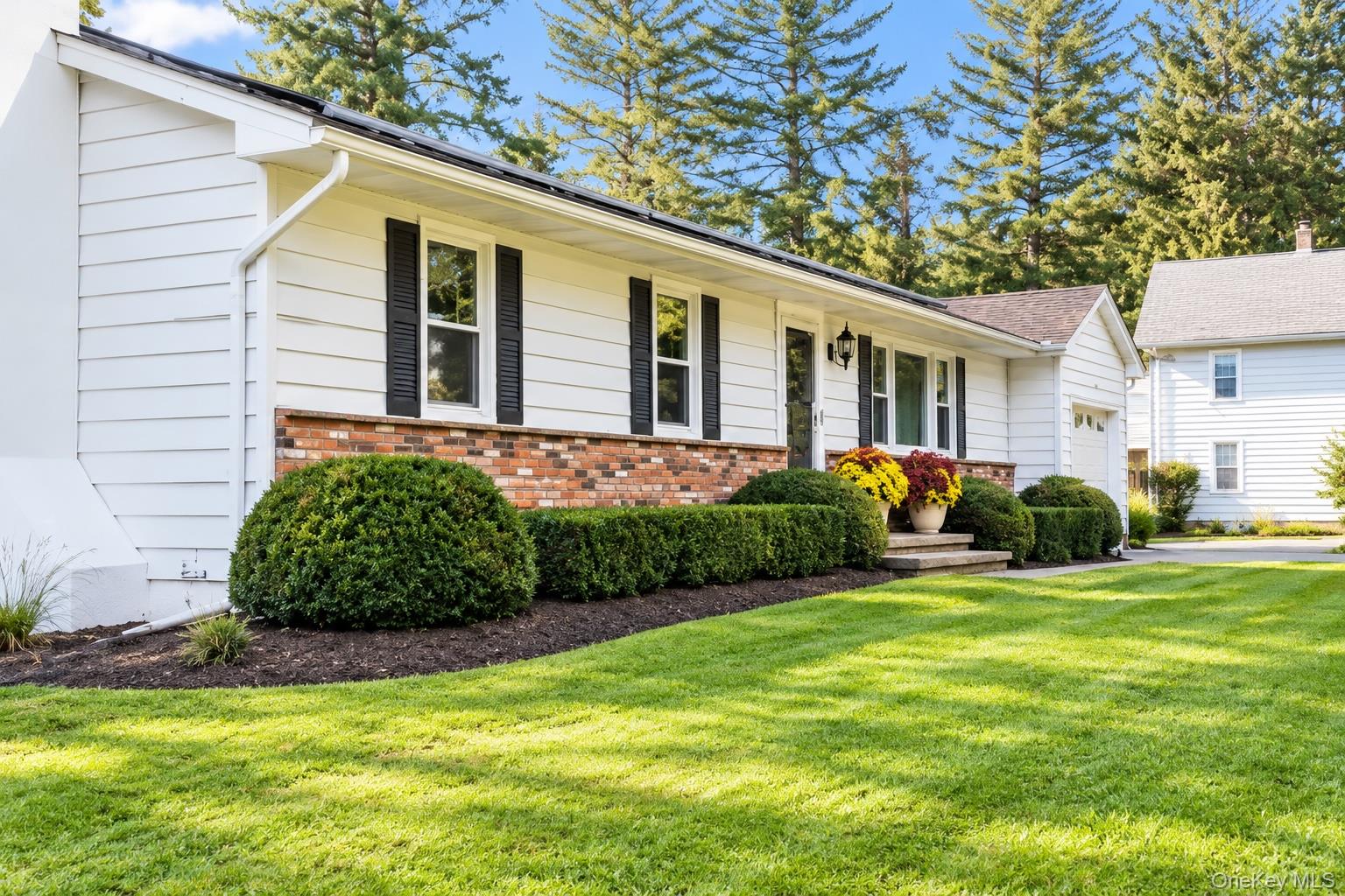 17 Rose Avenue