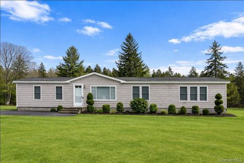 698 Cooley Road Parksville NY 12768