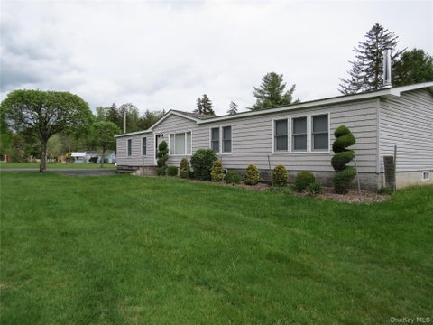 Homes For Sale - 698 Cooley Road<br/> Parksville, NY 12768