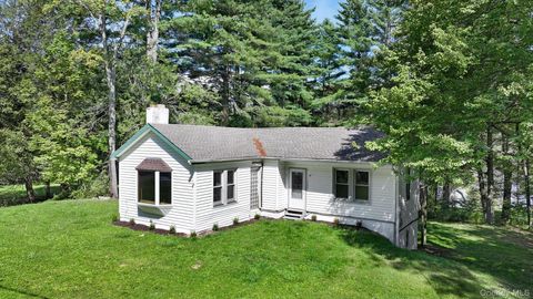 Photo of 1463 Briscoe Road, Swan Lake, NY 12783 (MLS # 960426)