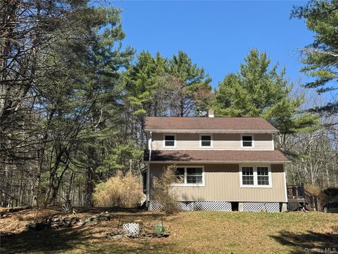Homes For Sale - 13 Hartung Road<br/> Sullivan County, Highland Lake, NY 12743