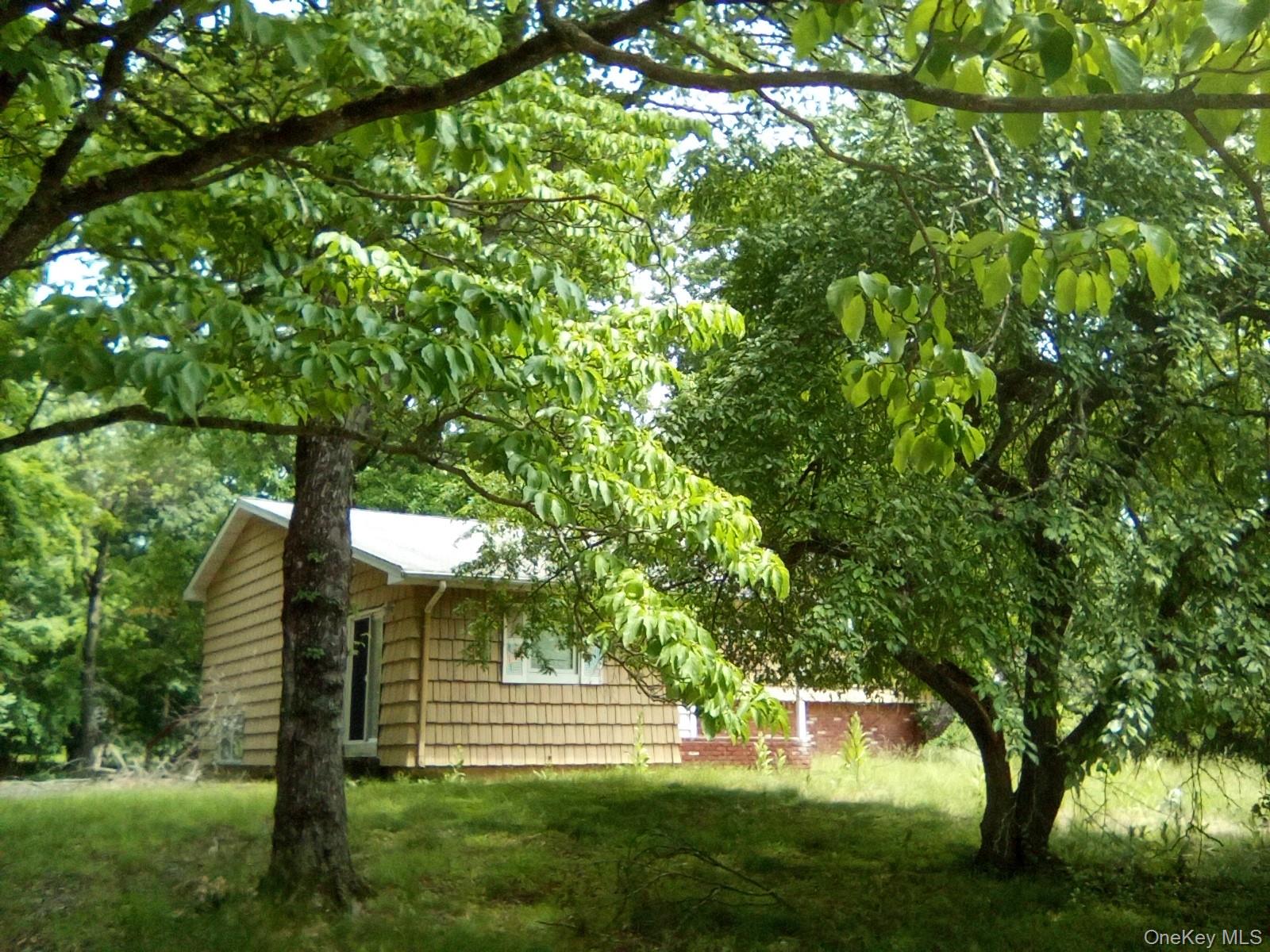 5 Flamingo Lane