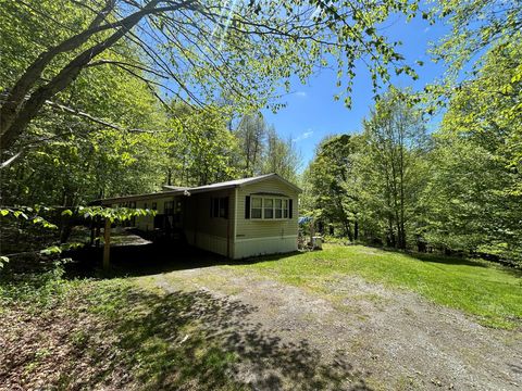 367 Mud Pond Road Livingston Manor NY 12758