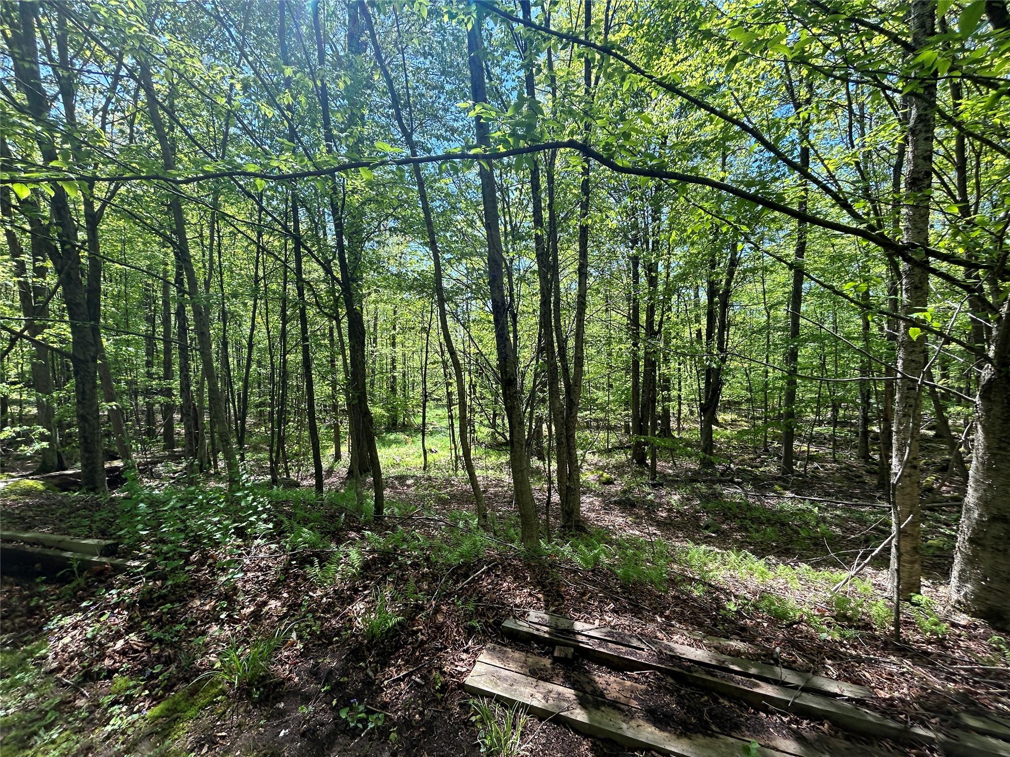 367 Mud Pond Road, Livingston Manor, New York image 12