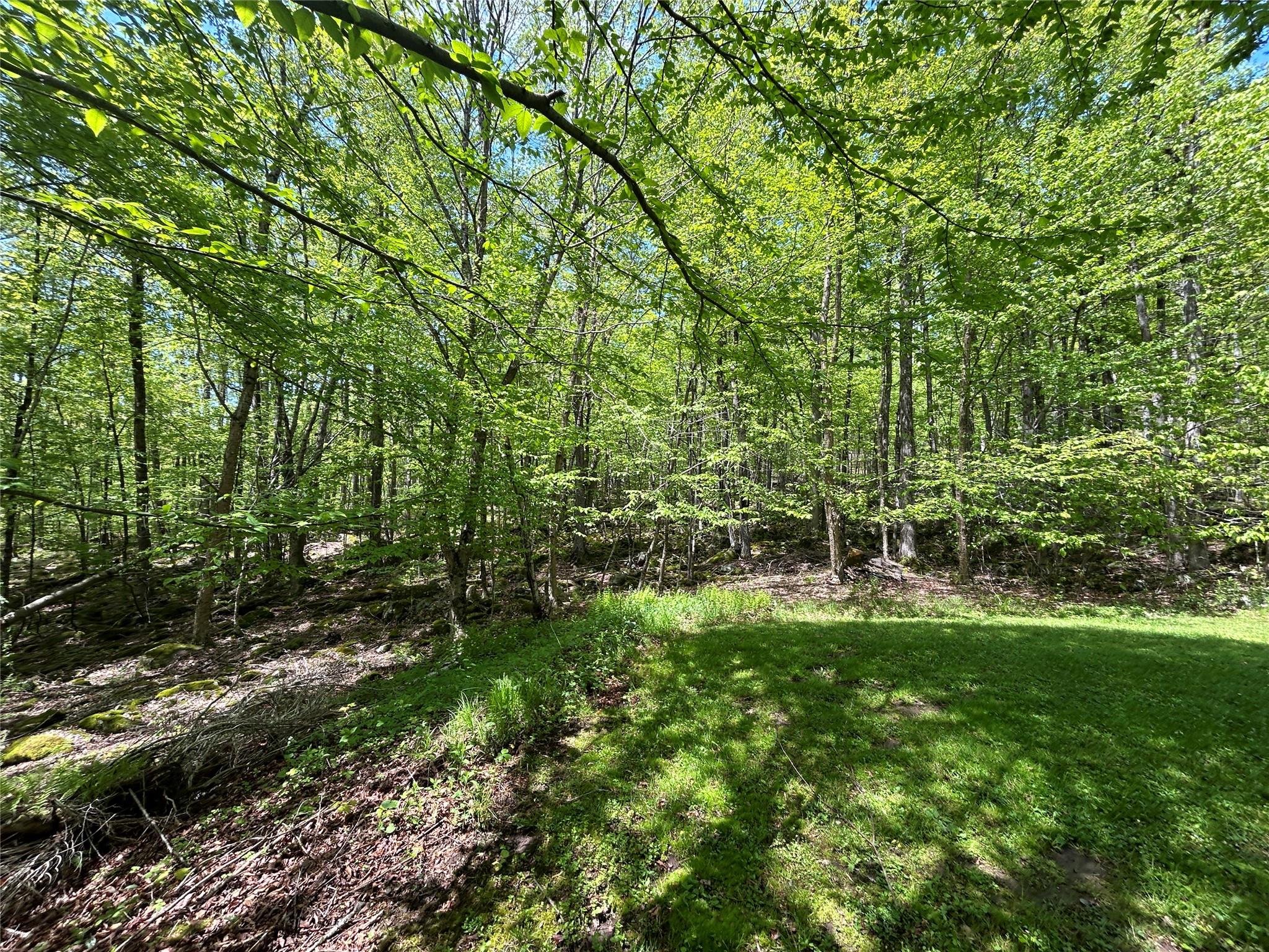 367 Mud Pond Road, Livingston Manor, New York image 13
