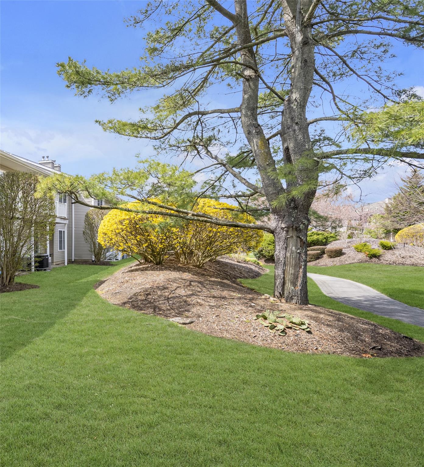 1069 Savoy Drive, Melville, New York image 12