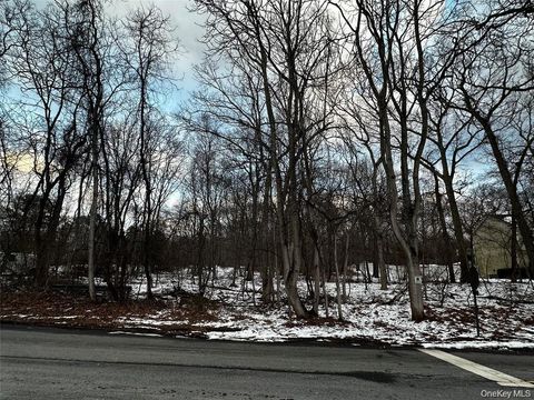 Vacant Land For Sale - W Bartlett Road<br/> Middle Island, NY 11953