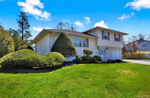 9 Henry Street Orangeburg NY 10962