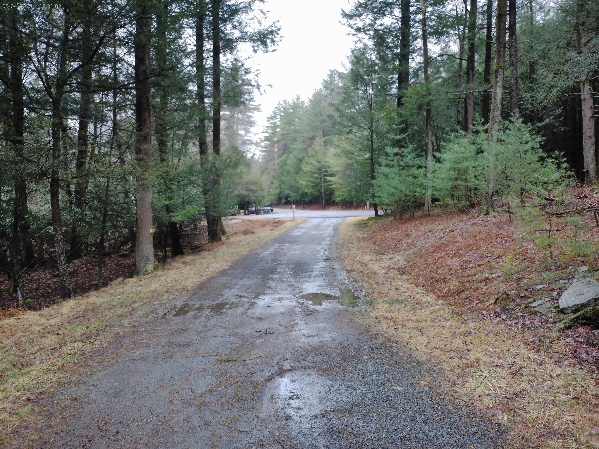 44 Lester Lane, Bethel, New York image 24