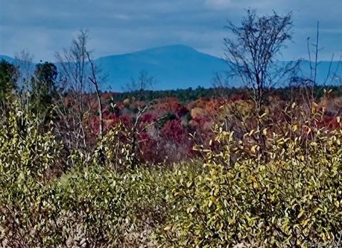 Vacant Land For Sale - Manor Rock Road<br/> Craryville, NY 12521