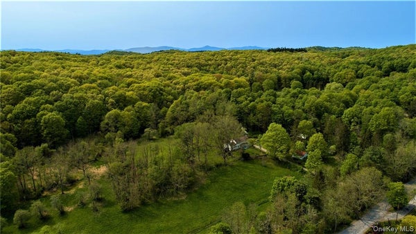 303 HICKS HILL RD, STANFORDVILLE, NY 12581 - Image 7ebdfd5335b194dd13db909ddab41f3e/4269092119