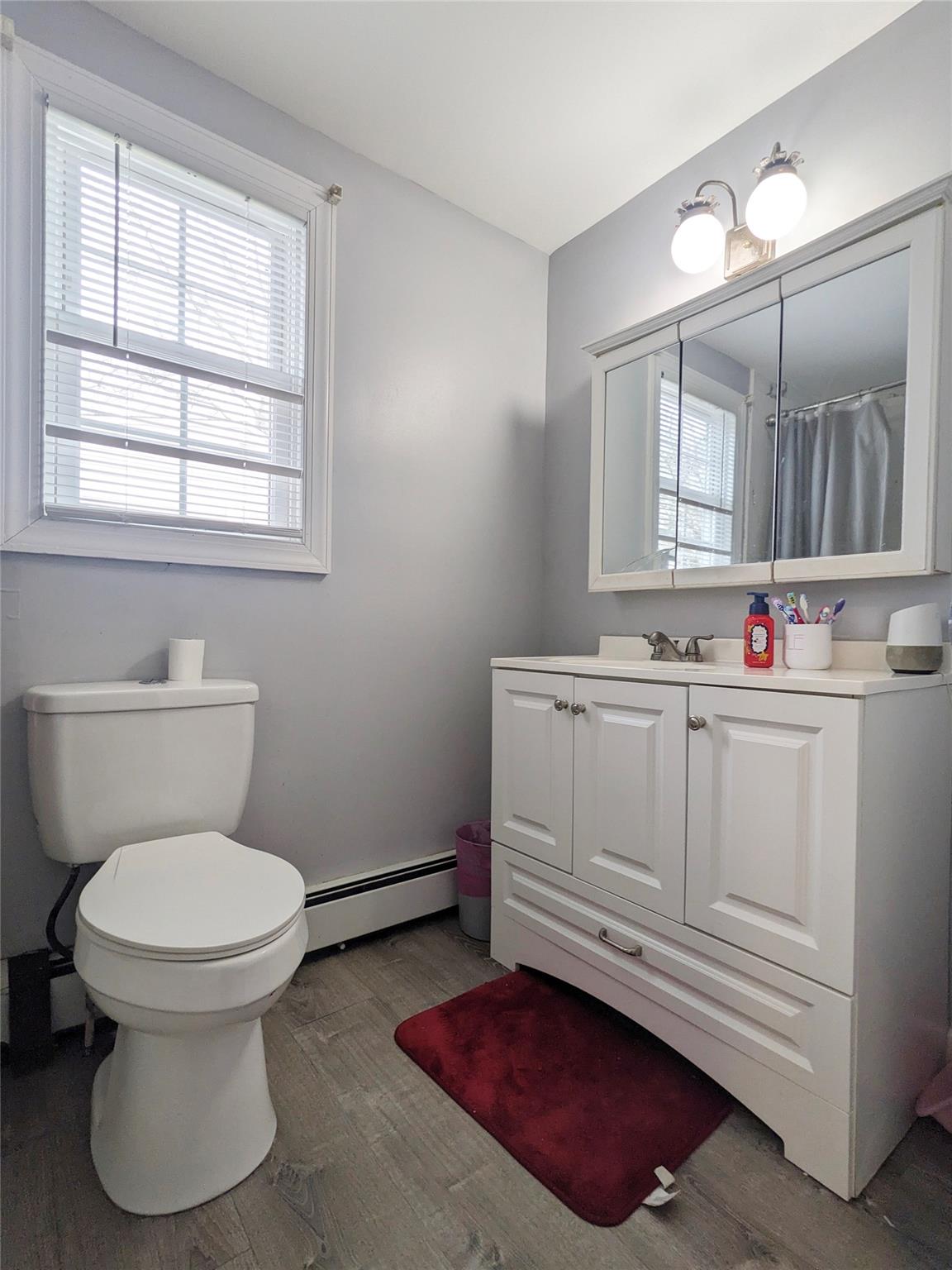 65 Biscayne Drive, Selden, New York image 11