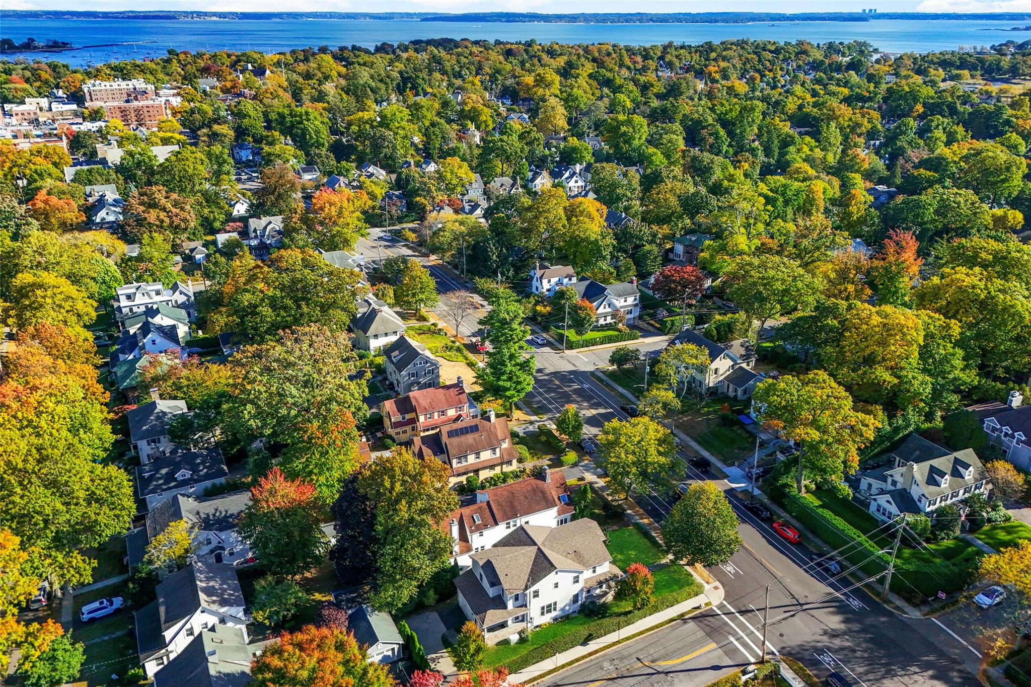 219 Larchmont Avenue, Larchmont, Florida image 3