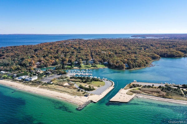 104 RUTLAND RD, EAST HAMPTON, NY 11937 - Image 7f29c0ad42bdc654e7d1f6fb28c8d9ba/2588028590