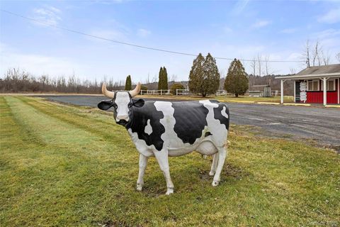 11051 State Route 9W Coxsackie NY 12051