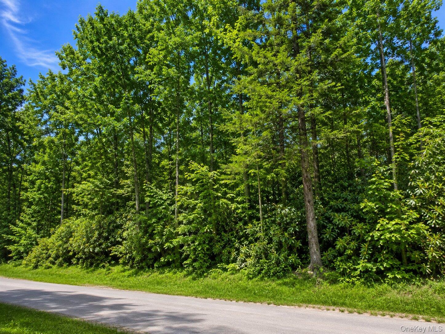 Benton Hollow Road