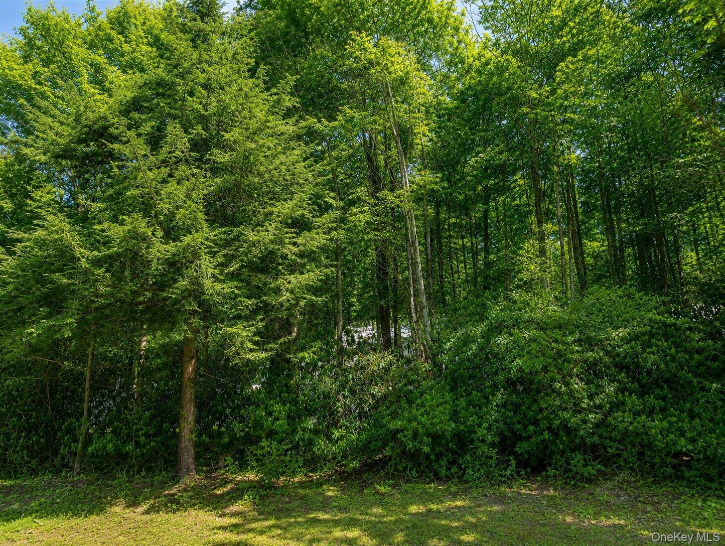 Benton Hollow Road