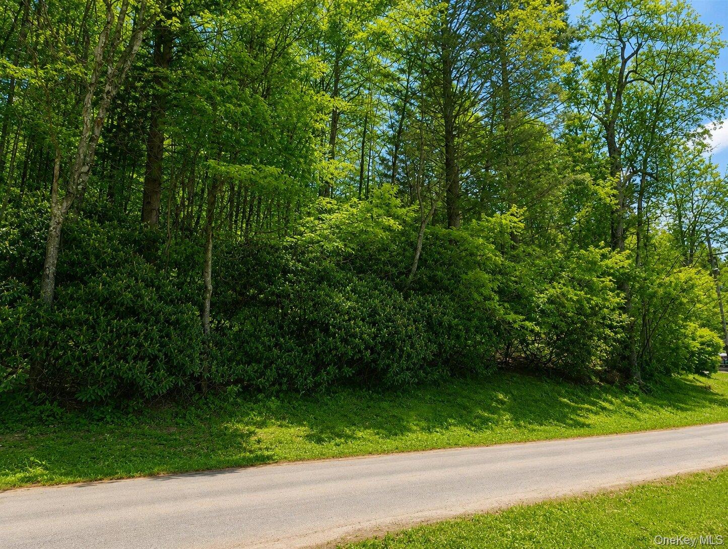 Benton Hollow Road