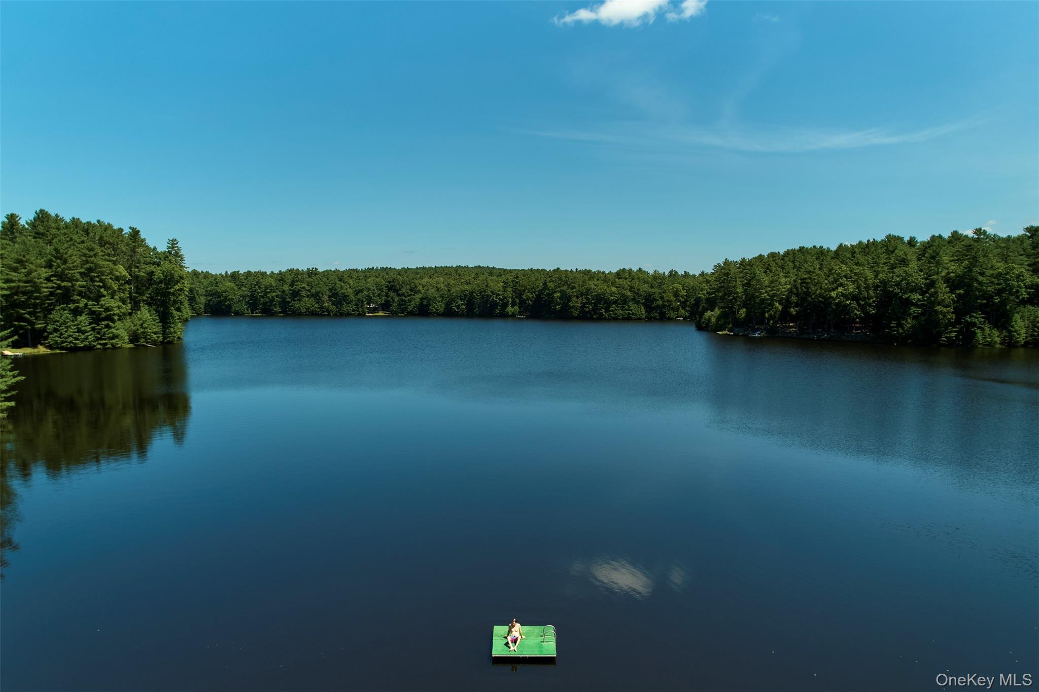 167 Timber Lake Drive