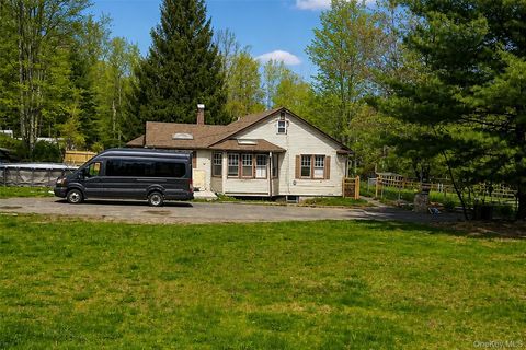 Multifamily For Sale - 5039 Main Street<br/> South Fallsburg, NY 12779