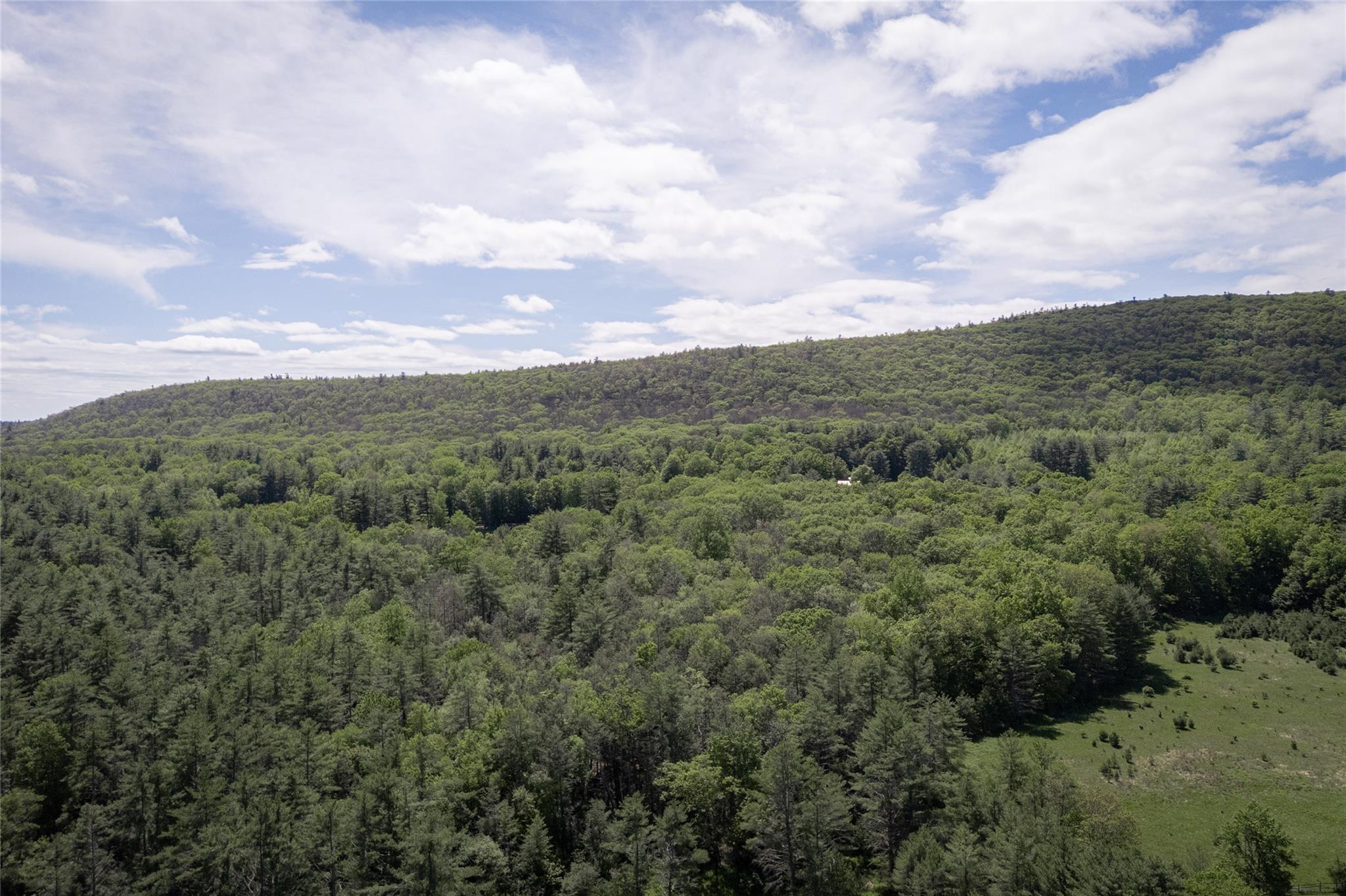 300 Mt Laurel Road, Kerhonkson, New York image 2