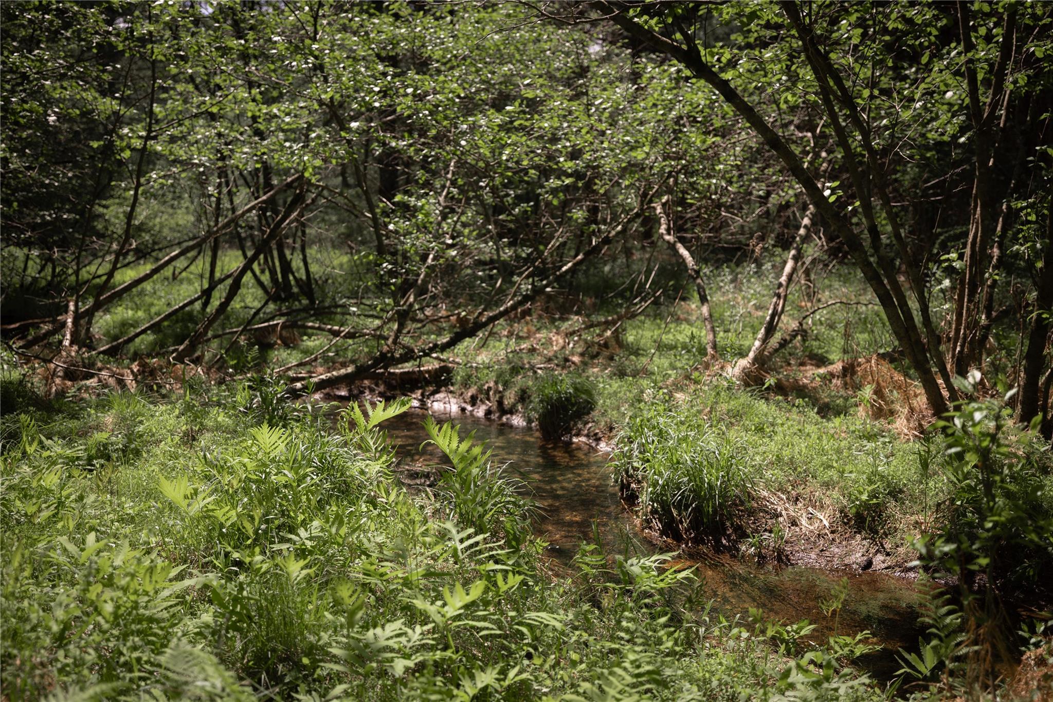 300 Mt Laurel Road, Kerhonkson, New York image 7