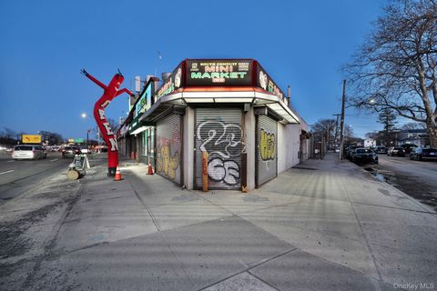 230-02 S Conduit Avenue Springfield Gardens NY 11413