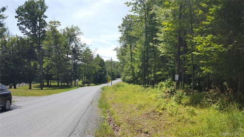 Photo of Co Hwy 73, Swan Lake, NY 12783 (MLS # 1028785)