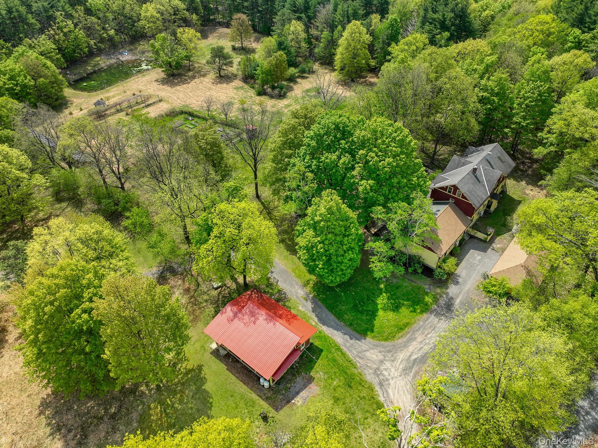 43 Augustine Road