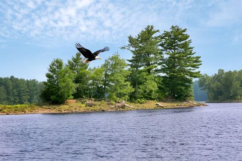 Vacant Land For Sale - Whispering Woods Drive<br/> Sullivan County, Mongaup Valley, NY 12762