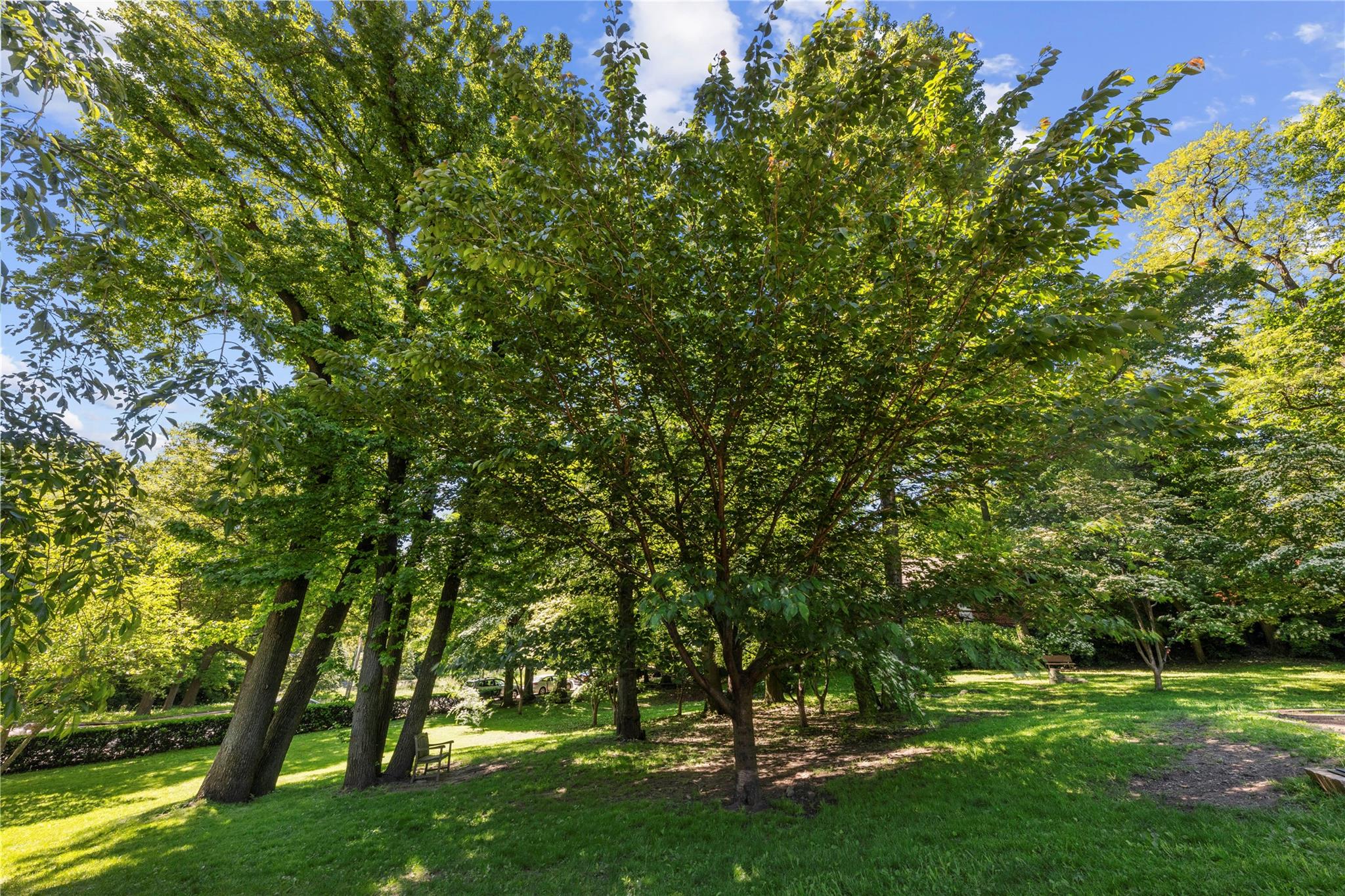 5355 Henry Hudson Parkway #4G, Bronx, New York image 15