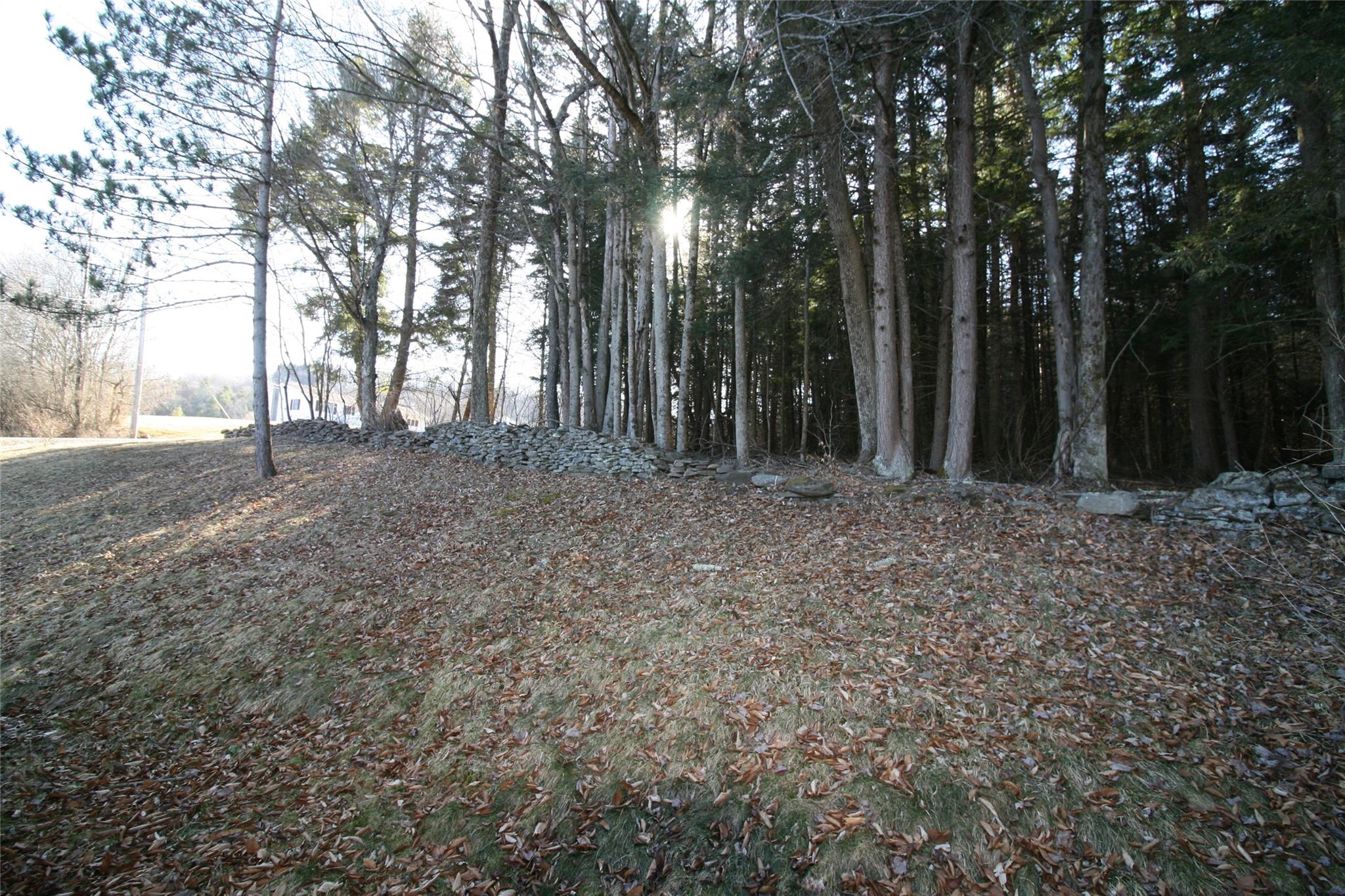 367 Hemmer Road, Livingston Manor, New York image 14
