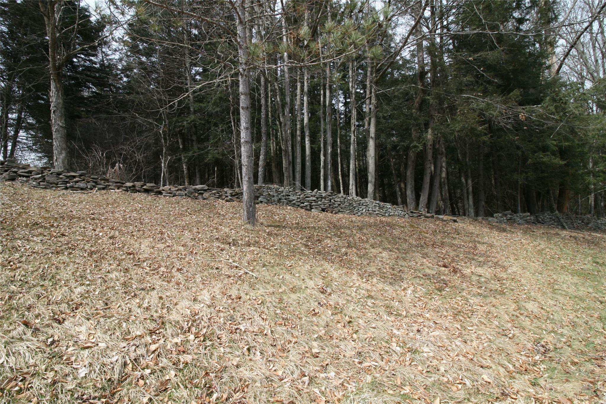 367 Hemmer Road, Livingston Manor, New York image 13
