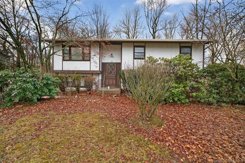 53 Mallory Road Spring Valley NY 10977