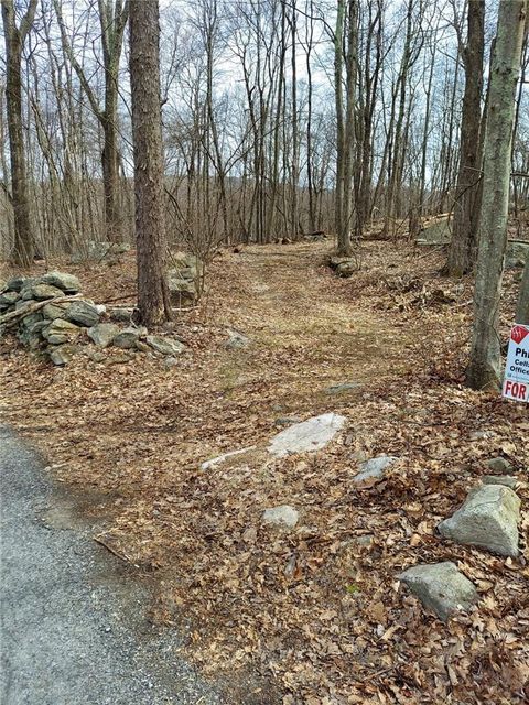 Vacant Land For Sale - 489 Grape Hollow Road<br/> Holmes, NY 12531