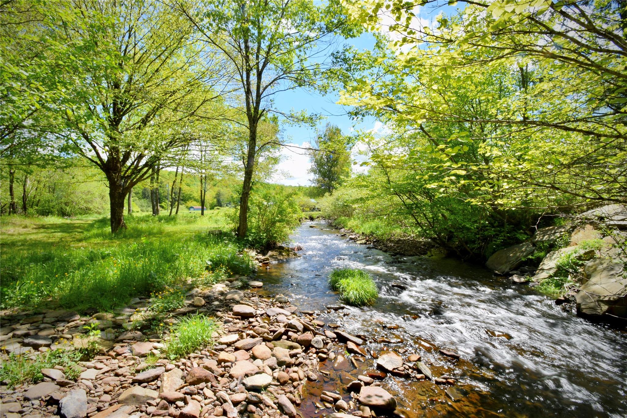 7 Bonnie Brook Road, Roscoe, New York image 2