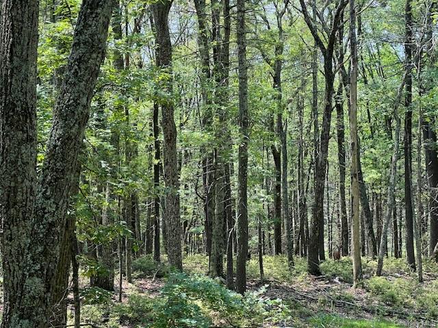 Lot 18 Hunczak Boulevard