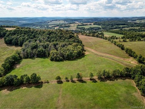 Vacant Land For Sale - Bauernfeind Road<br/> Callicoon, NY 12723