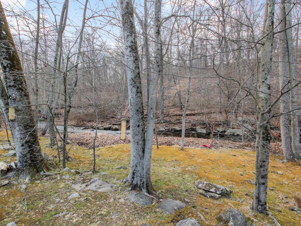 163 Duxbury Road, Purchase, New York image 14