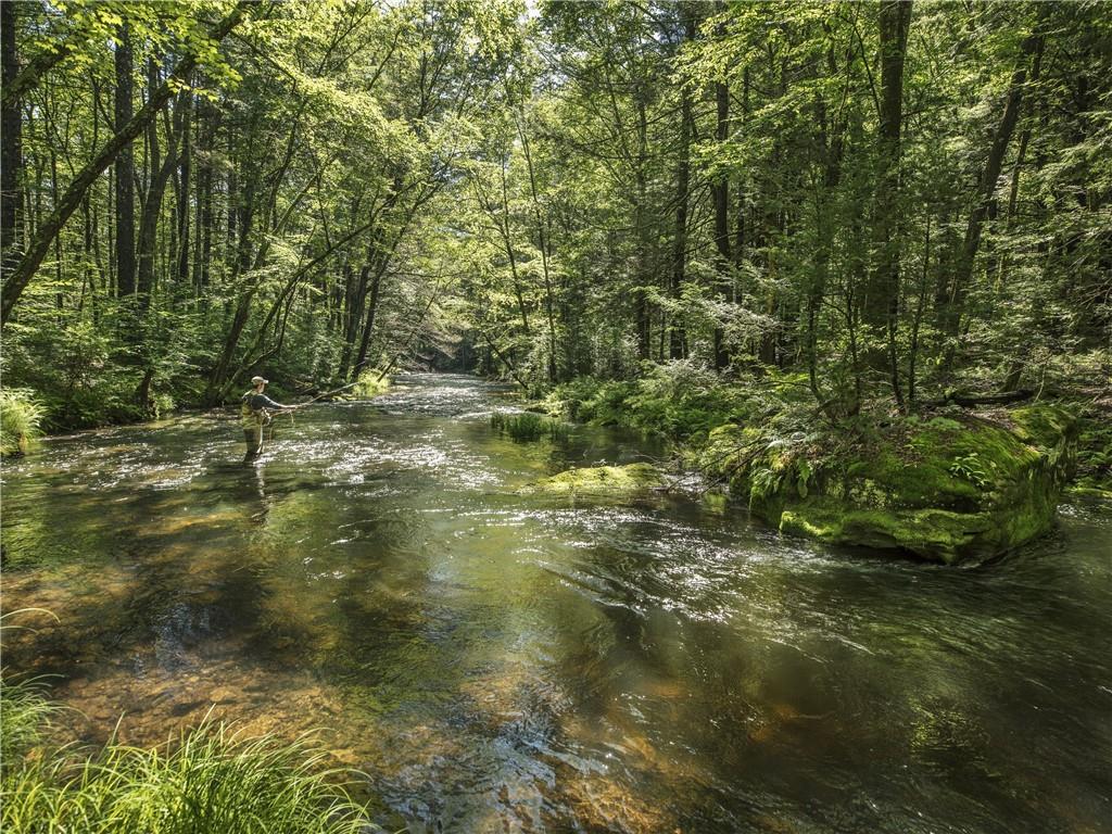 Lot 2 Chapin Trail, Bethel, New York image 13