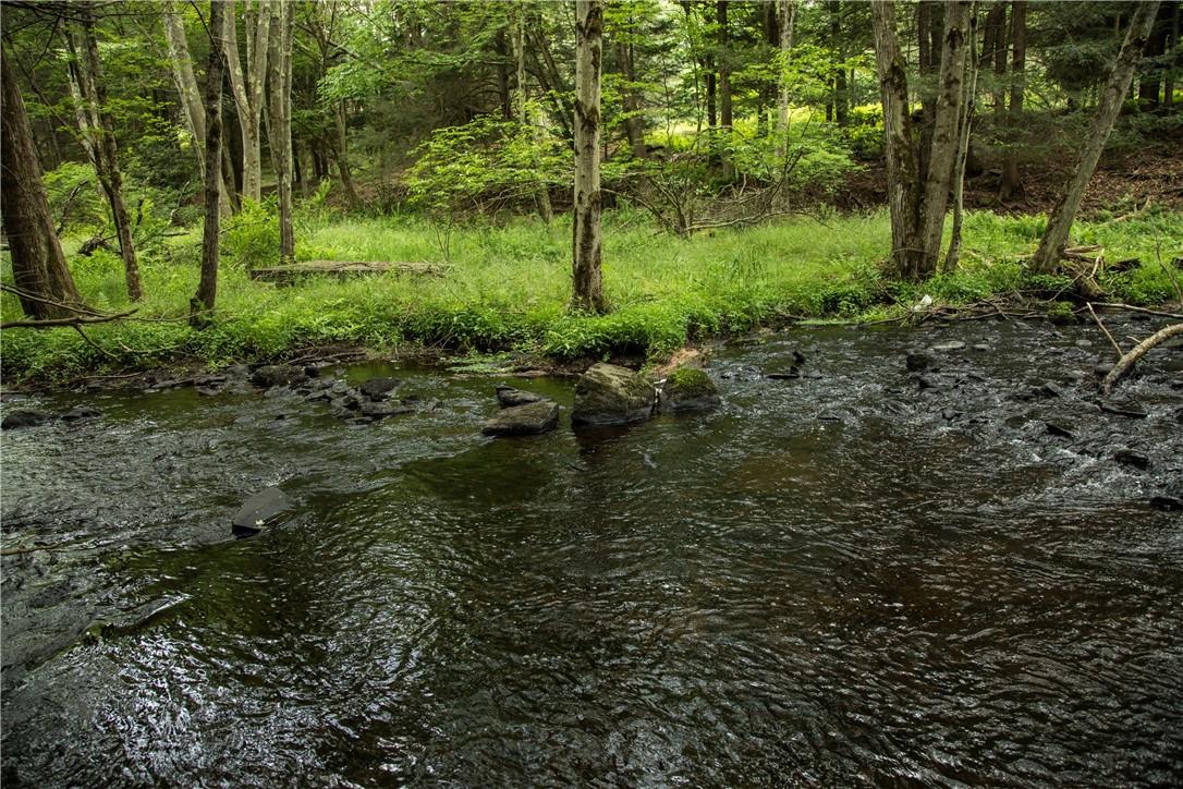 Lot 2 Chapin Trail, Bethel, New York image 3