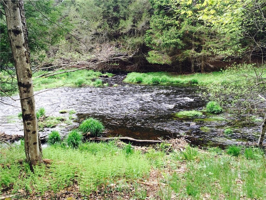 Lot 2 Chapin Trail, Bethel, New York image 2