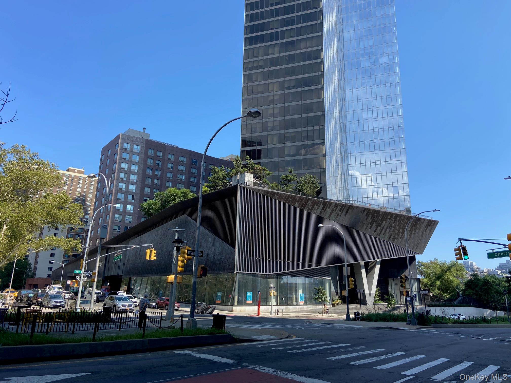 252 South Street 12G