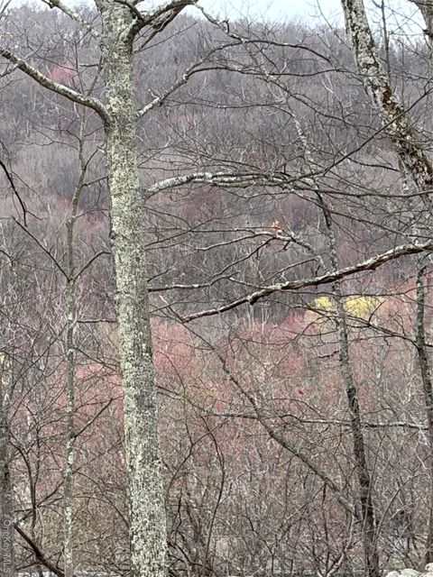 Fox Mountain Livingston Manor NY 12758