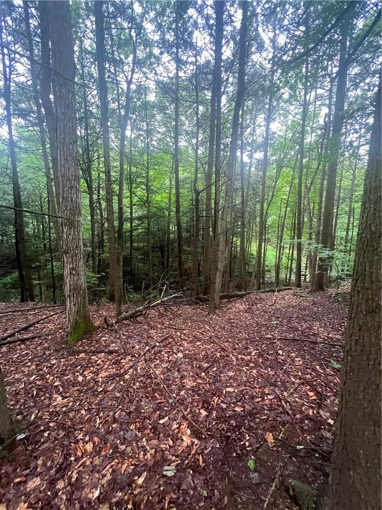 000 E Little Hollow Road Circle, Grahamsville, New York image 11