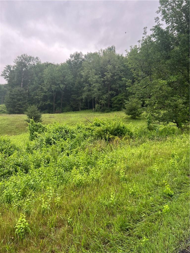 000 E Little Hollow Road Circle, Grahamsville, New York image 5