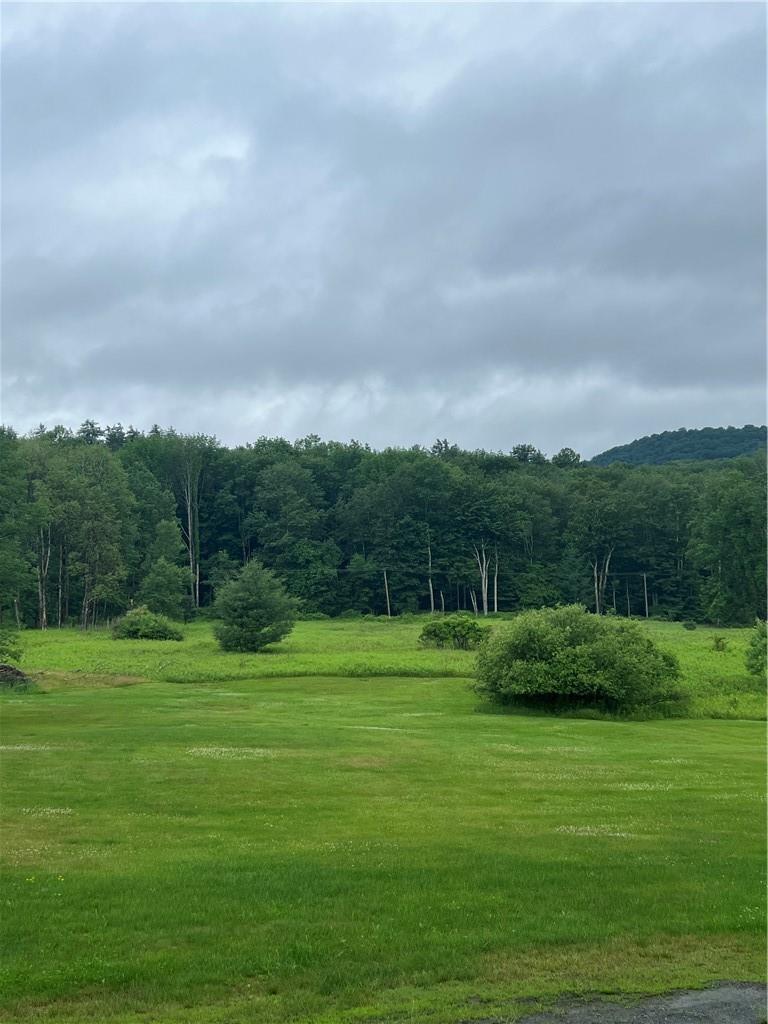 000 E Little Hollow Road Circle, Grahamsville, New York image 2
