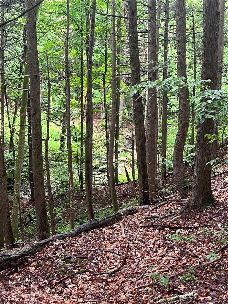 000 E Little Hollow Road Circle, Grahamsville, New York image 10