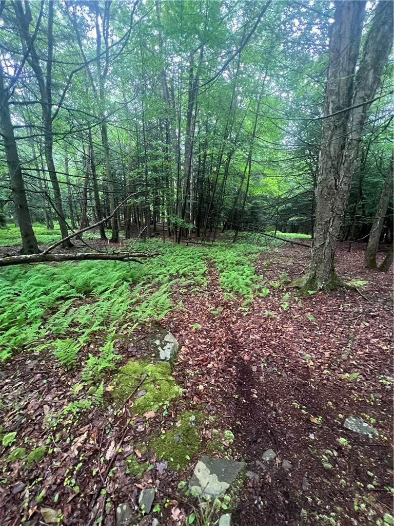 000 E Little Hollow Road Circle, Grahamsville, New York image 12